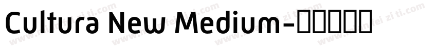Cultura New Medium字体转换